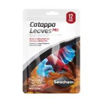 CATAPPA LEAVES MD
