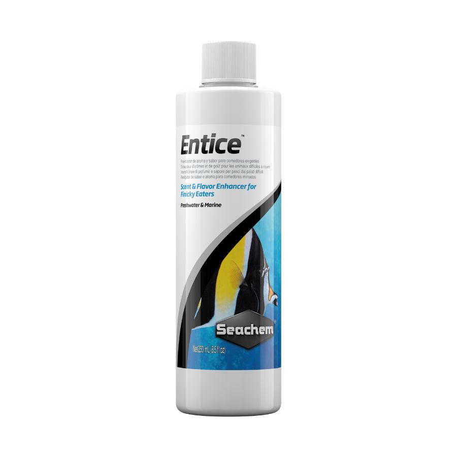 Entice_SEACHEM_1 ENTICE - Imagen 1