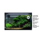 TERMOMETRO DIGITAL - Imagen 2