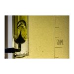 EASYRACTOR 4L - Imagen 12